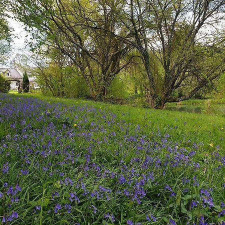 Fermette Dans Les Pays De La Loire Villa Izé Екстериор снимка