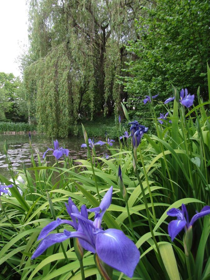 Fermette Dans Les Pays De La Loire Villa Izé Екстериор снимка