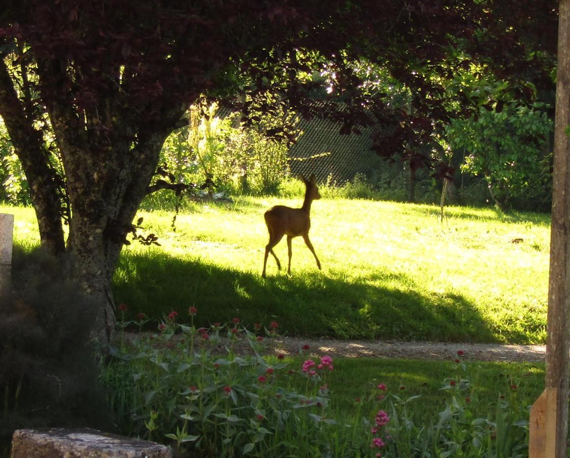 Fermette Dans Les Pays De La Loire Villa Izé Екстериор снимка