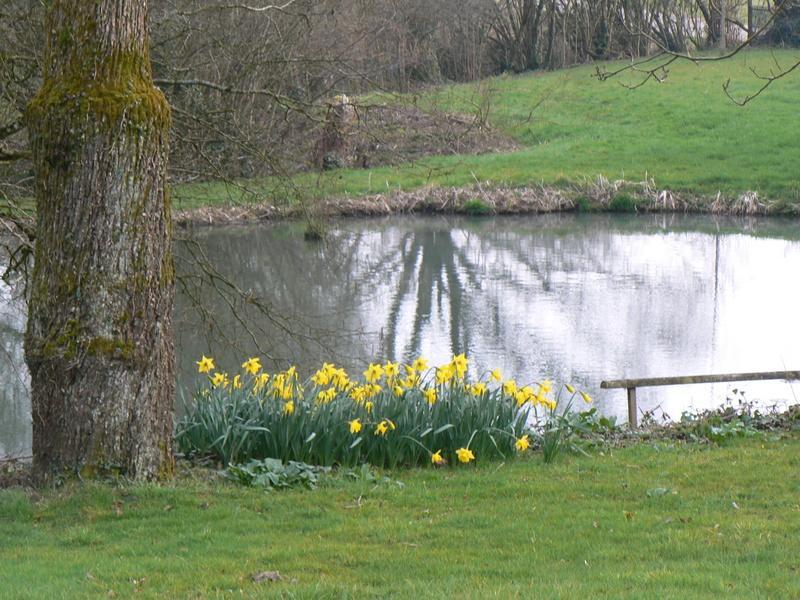 Fermette Dans Les Pays De La Loire Villa Izé Екстериор снимка