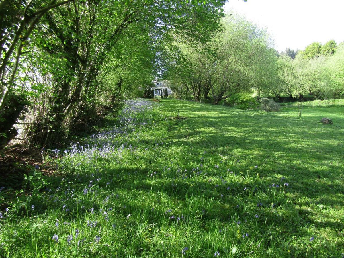 Fermette Dans Les Pays De La Loire Villa Izé Екстериор снимка